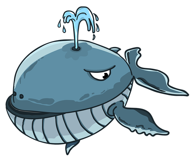 Las ballenas, todo un misterio acuático
