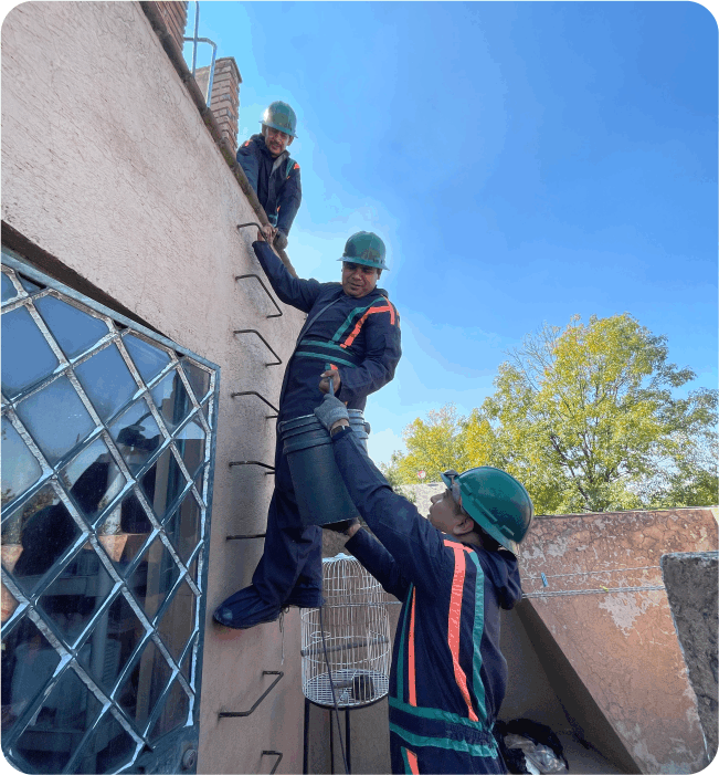 Operadores subiendo cubeta con materiales para el lavado de tinacos en Tlalpan