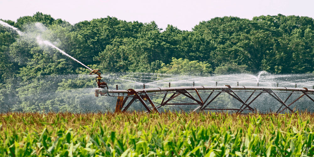 agua ozonizada en la agricultura