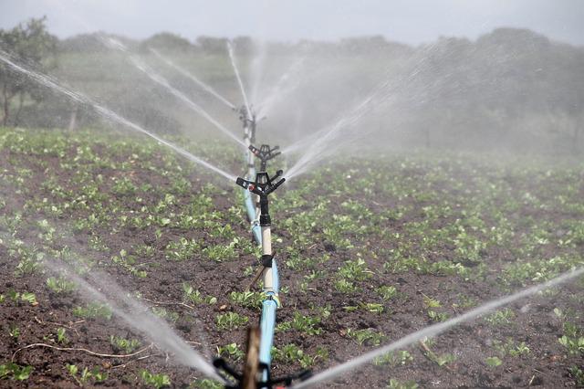 agua ozonizada en la agricultura