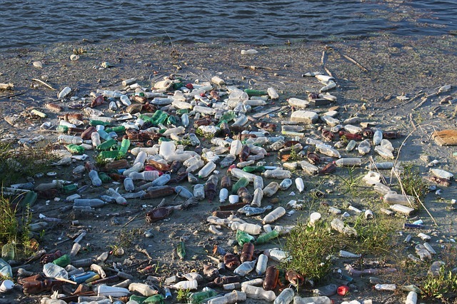 contaminación del mar con botellas de plástico