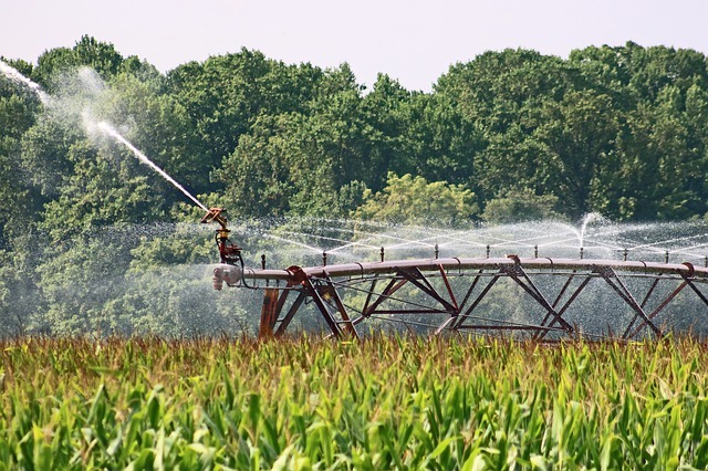 la agricultura como desencadenante del Día Cero