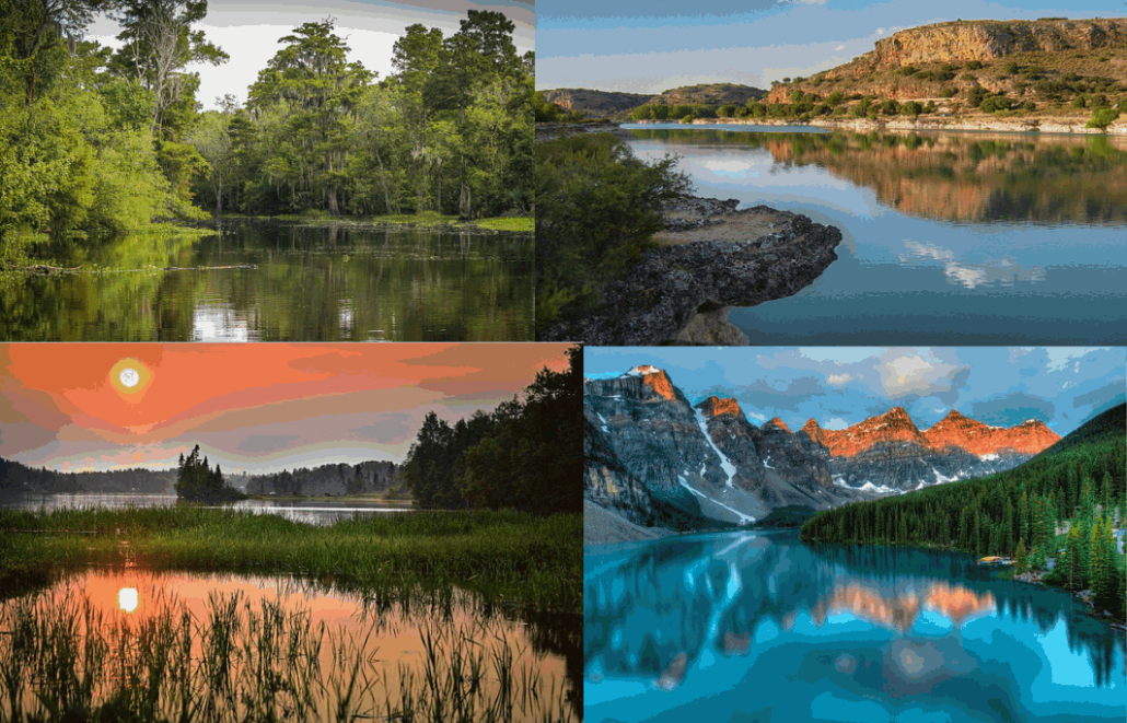 diferentes ecosistemas de agua dulce con agua líquida