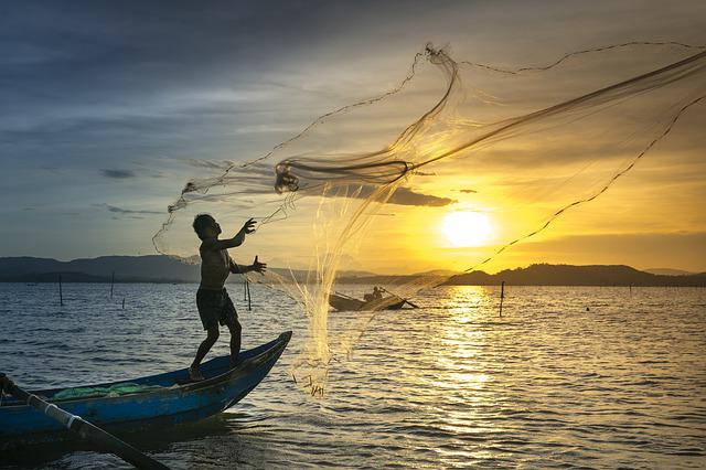 pesca como actividad económica 