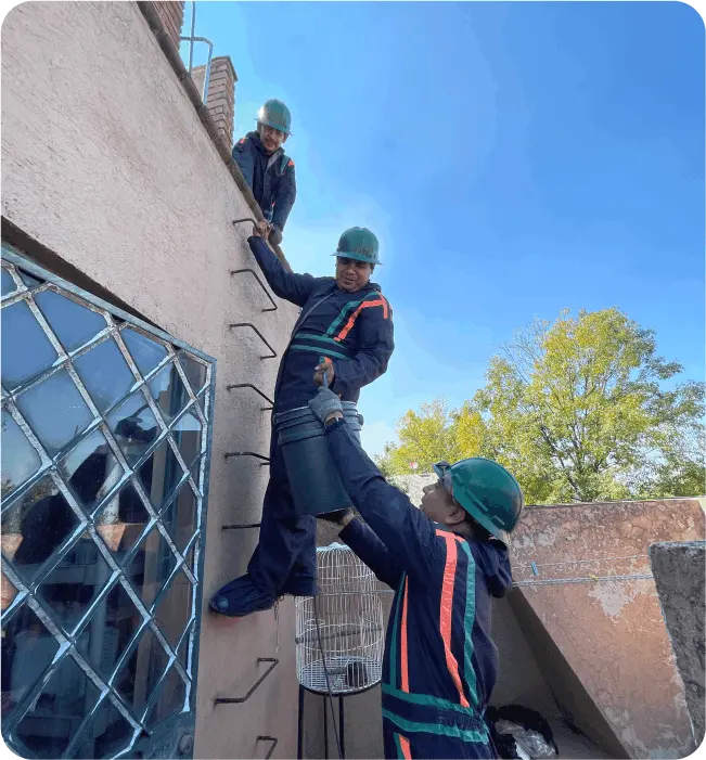 Operadores subiendo cubeta con materiales para el lavado de tinacos en Tlalpan